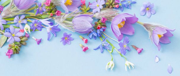 beautiful spring flowers on blue background - Фото, зображення