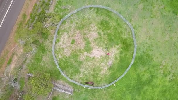 Rotating aerial of circular horse pen, horse walks around perimeter of pen - Footage, Video