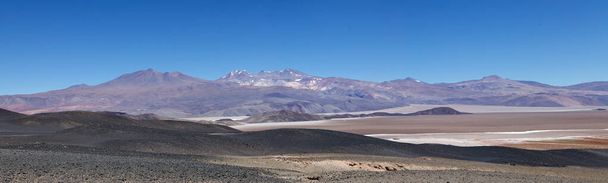 Salario di Antofalla alla Puna de Atacama, Argentina. Puna de Atacama è un arido altopiano delle Ande del Cile settentrionale e dell'Argentina. In Argentina il territorio di Puna si estende nelle province di Salta, Jujuy e Catamarca
 - Foto, immagini
