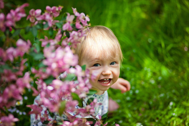 1-2 yaşındaki bir kızın yakın plan portresi. Bahçede, ağaçlarda pembe çiçekler var.. - Fotoğraf, Görsel