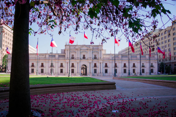Palacio de la Moneda in Plaza constitucion "που βρίσκεται 1 τετράγωνο από το Palacio de la Moneda στο Santiago de Chile - Φωτογραφία, εικόνα