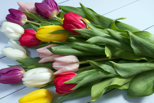 Yerde bir buket renkli lale. Bir kadın gününe hediye. Bahar laleleri çiçek arka planı - Fotoğraf, Görsel