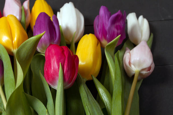 Bukiet kolorowych tulipanów na podłodze. Prezent dla kobiety. Wiosna tulipany kwiaty tło - Zdjęcie, obraz