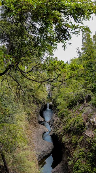 Radal National Park 7 kopjes in de regio Maule Chili - Foto, afbeelding