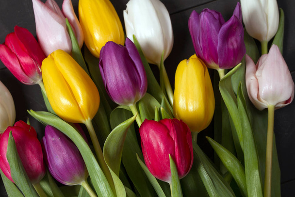 A bouquet of color tulips on the floor. A gift to a women day. Spring tulips flowers background - Photo, Image