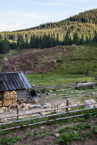 Old wooden shed in the Ukrainian Carpathians with the stack of firewood. - Photo, Image