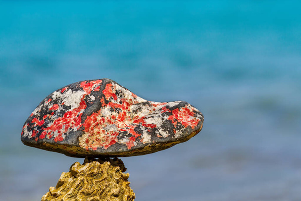Värikäs kivi punainen valkoinen ja musta rannikolla saarella Bonaire
 - Valokuva, kuva