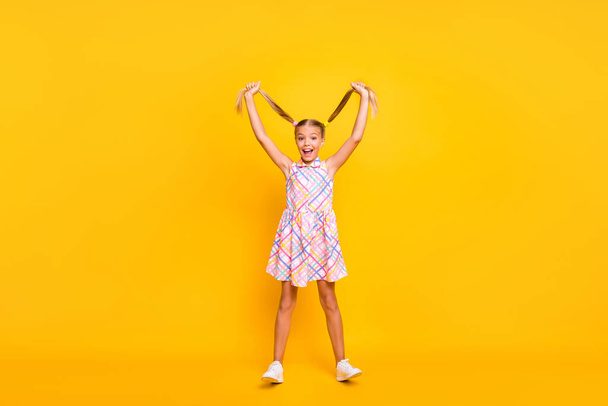 Full length photo of cheerful beautiful little lady good mood raise pretty long tails up air playful girl wear plaid summer dress sneakers isolated yellow bright color background - Fotografie, Obrázek