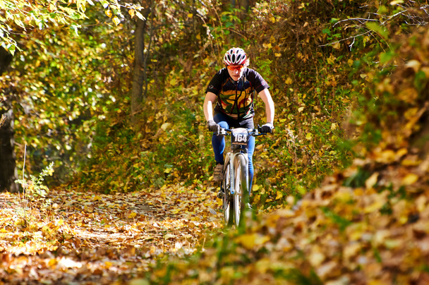 Mountain bike competition - Foto, Bild