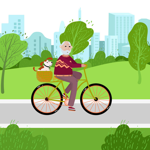 Senior rides on bicycle with his dog in the park. Healthy activity lifestyle for retiree concept in vector. Grandfather is on bicycle for exercise. Old man activity outdoor. - Vetor, Imagem