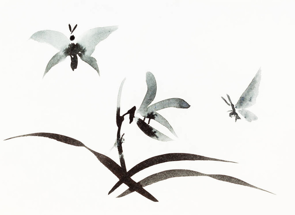 метелики літають над квіткою, намальованою чорним акварелем на білому папері в стилі сумі-е (суїбокуга)
 - Фото, зображення