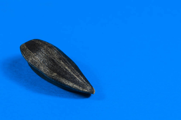 Black sunflower seeds in  macro isolated on blue background. Food photo with texture closeup. - Photo, Image