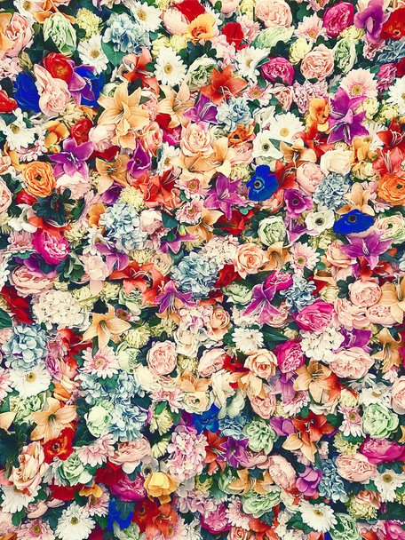 デイジー、バラ、装飾のための様々な蘭の花束の装飾背景 - 写真・画像