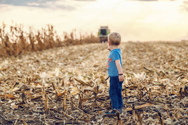Aranyos kis farmer fiú áll a kukoricaföldön, és néz és mutat a betakarító. A háttérben a betakarítás. Hátsó megvilágítás. - Fotó, kép
