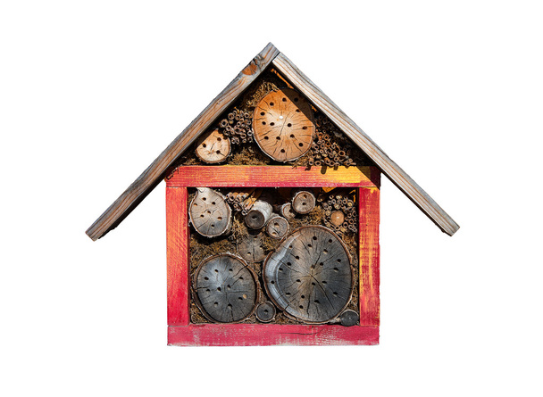 έντομο σπίτι - Φωτογραφία, εικόνα