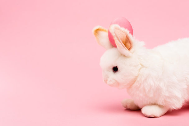 Декоративный кролик с пасхальным яйцом на розовом фоне
 - Фото, изображение