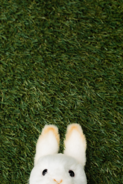 Vista superior del conejo decorativo sobre fondo verde, concepto de Pascua
 - Foto, Imagen