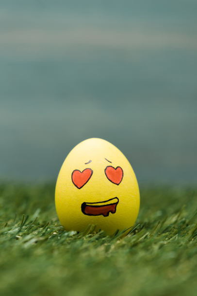 Easter egg with enamored facial expression on grass  - Foto, afbeelding
