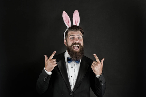 Easter idea. Happy manager pointing fingers up. Bearded man with bunny ears pointing black background. Pointing and promoting. Pointing gesture. Shop for Easter sale, vintage filter - 写真・画像