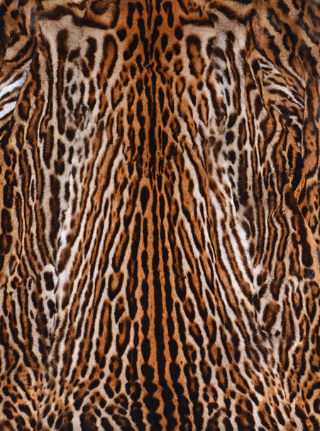 Fondo de piel de leopardo
 - Foto, Imagen