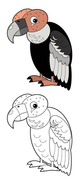 Cartoon sketchbook american animal bird condor on white background illustration for children - Foto, Bild