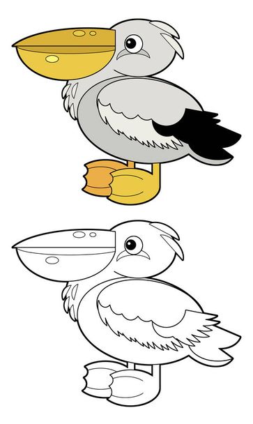 Cartoon sketchbook american animal bird pelican on white background illustration for children - Fotó, kép