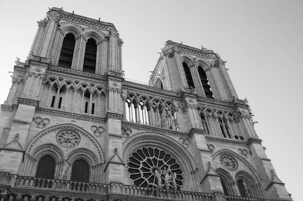 Catedral de Notre Dame de París en blanco y negro. - Foto, Imagen