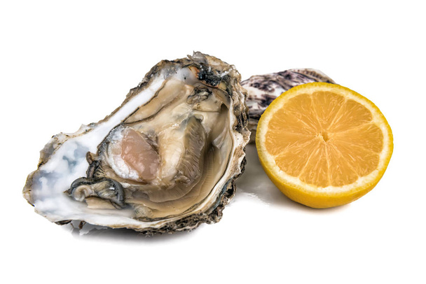 deliziosa ostrica cruda con limone isolato su bianco
 - Foto, immagini