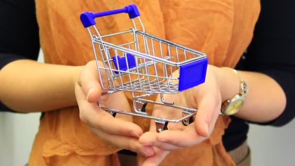 Small shopping trolley in hands of woman. Buying concept. - Materiaali, video