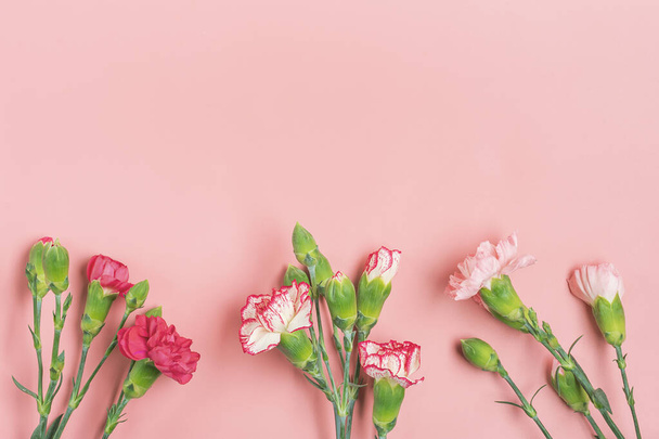 ピンクの背景に異なるピンクのカーネーションの花の花束トップビューフラットレイホリデーカード8 3月,ハッピーバレンタインデー,母の日のコンセプト. - 写真・画像