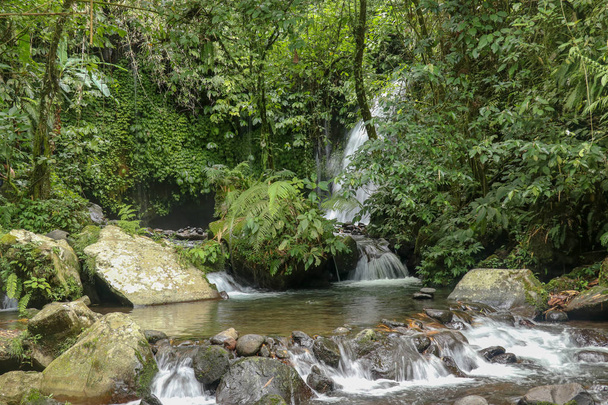 El agua fluye a través de piedras en el río Yeh Ho en la selva tropical. Hermosa cascada se encuentra en el exuberante campo de arroz cargado de Penebel pueblo en Tabanan, cerca de la terraza de arroz Jatiluwih en Bali, Indonesia
. - Foto, Imagen