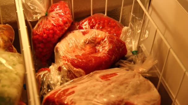 Frutas, carne y otros productos congelados en un refrigerador. - Metraje, vídeo