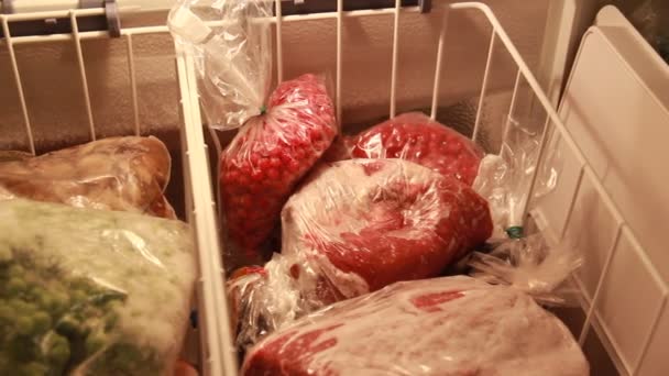 Frutas, carne y otros productos congelados en un refrigerador. - Metraje, vídeo