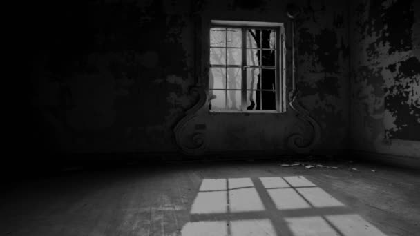 Starý opuštěný tmavý pokoj s poškozenými cihlovými zdmi a dřevěným oknem - Záběry, video