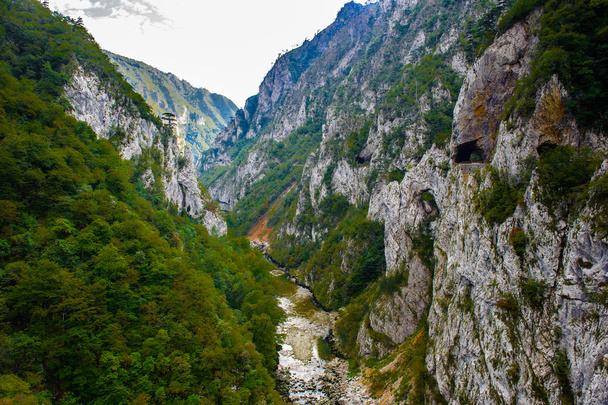 Tara river, Montenegro - Φωτογραφία, εικόνα