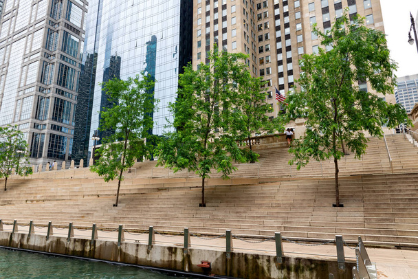 Árvores plantadas nas margens ao longo do rio Chicago
. - Foto, Imagem