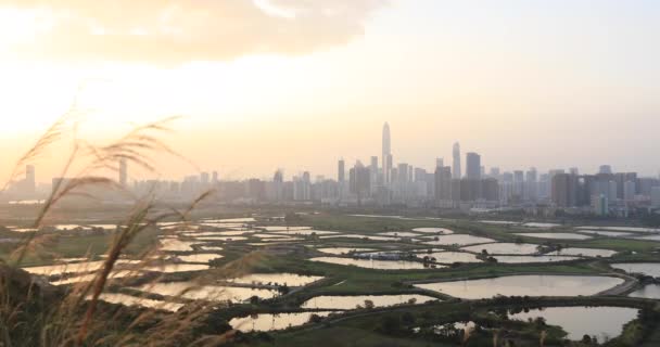 Belle immagini di Shenzhen, Cina e stagni di pesce nel paesaggio rurale al tramonto - Filmati, video