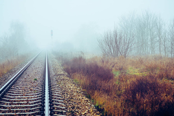 Perspektywa zniknięcia torów kolejowych we mgle w mglisty poranek - Zdjęcie, obraz