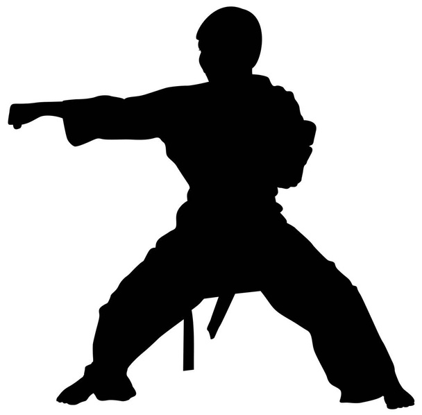 silhouette of kata karate athletes vector illustration - Vector, Image