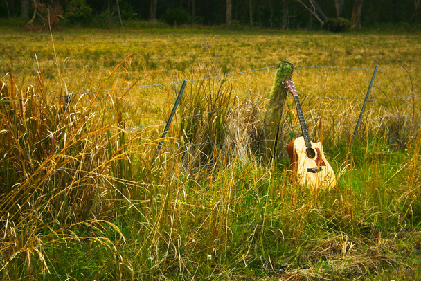Дерев'яна акустична гітара на полі
 - Фото, зображення