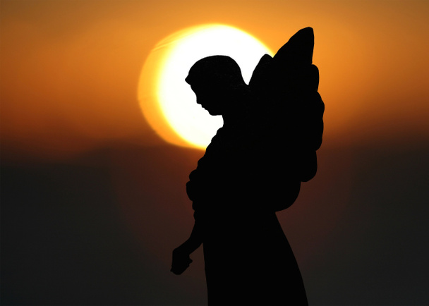 силуэт ангела - Фото, изображение