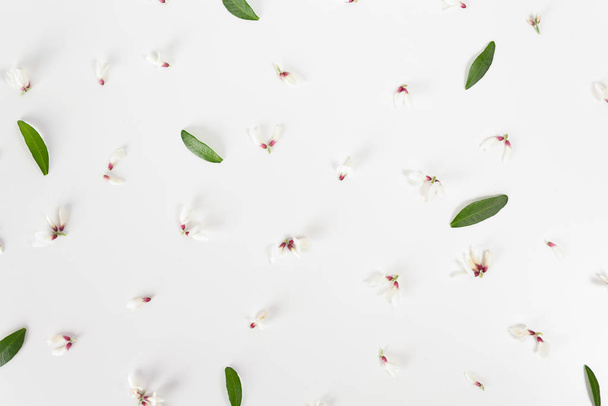Little white floral buds and green leafs. - Φωτογραφία, εικόνα