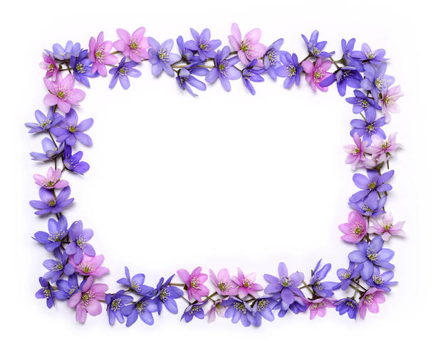 Beautiful floral frame of pink and blue spring flowers - Fotografie, Obrázek