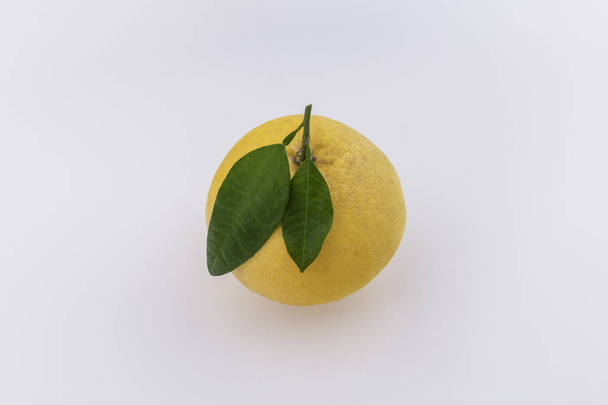 One yellow grapefruit with green leaves isolated on white background - Valokuva, kuva