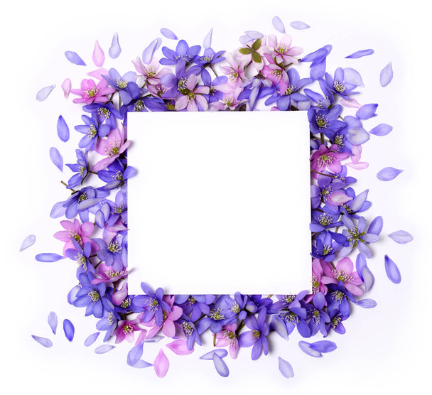 Beautiful floral frame of pink and blue spring flowers - Zdjęcie, obraz