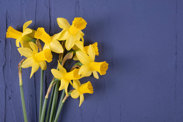 een boeket bloeiende lente narcissen ligt op een achtergrond op een blauwe achtergrond - Foto, afbeelding