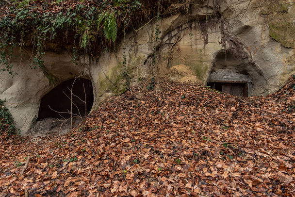 Обнаружили несколько старых туннелей времен Второй мировой войны в Верхней Швабии у фермеров и гражданских лиц
. - Фото, изображение