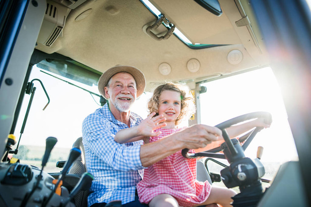 Senior farmer with small granddaughter sitting in tractor, driving. - 写真・画像
