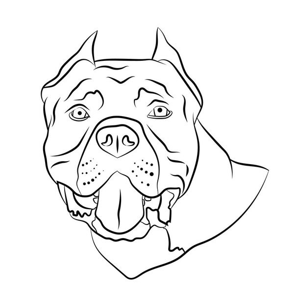 American pitbull, staffordshire terrier, bully dog breed head portrait. Logo, outline isolated vector illustration. - Vektor, obrázek