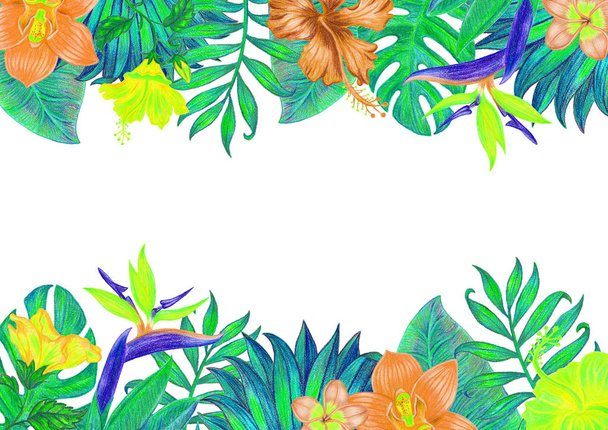 Floral frame with colorful  tropical leaves and flowers. White background. - Foto, imagen